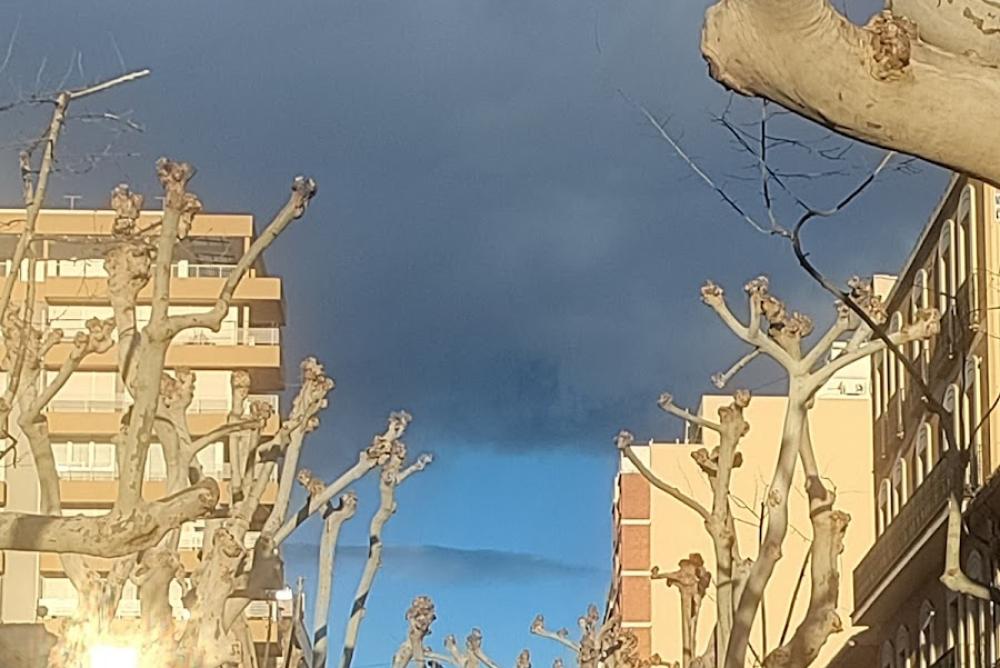 Registros de la Propiedad en la localidad de Denia
